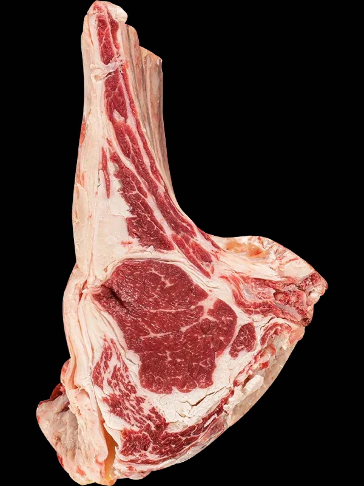 Steak